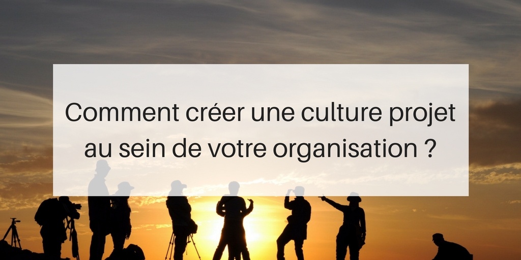 Comment créer une culture projet au sein de votre organisation